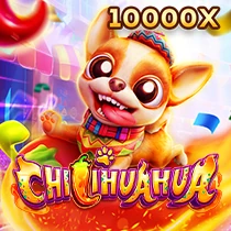CHILIHUAHUA