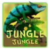 Jungle