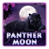Panther Moon