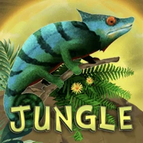 Jungle