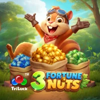 3 Fortune Nuts