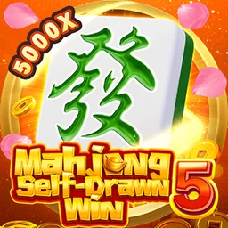 Mahjong Self-Drawn Win 5