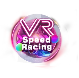 VR Speed Racing