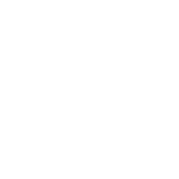 Pg